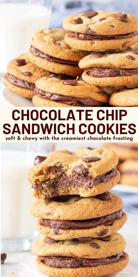 Two soft and chewy chocolate chip cookies sandwiched together with the creamiest chocolate frosting - what's not to love about these chocolate chip sandwich cookies? #chocolatechip #cookies #sandwichcookies #chocolatechipcookies #chocolatefrosting from Just So Tasty https://www.justsotasty.com/chocolate-chip-sandwich-cookies/ Fluffy Chocolate Frosting, Chocolate Chip Sandwich Cookies, Chip Sandwich, Creamy Chocolate Frosting, Cookie Sandwich Recipes, Chocolate Frosting Recipes, Cookies Easy, Chocolate Sandwich, Chewy Chocolate Chip