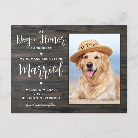 My Humans Are Getting Married Rustic Dog Wedding Announcement Postcard #zazzle #weddinginvitations #birthdayinvitations #babyshowerinvitations #zazzleinvitations #monogram #businesscards #graduation #homedecor Pet Wedding Ideas, My Humans Are Getting Married, Funny Save The Date, Dog Wedding Bandana, Dog Of Honor, Funny Save The Dates, Wedding Invitation Website, Rustic Wedding Save The Dates, Postcard Wedding Invitation