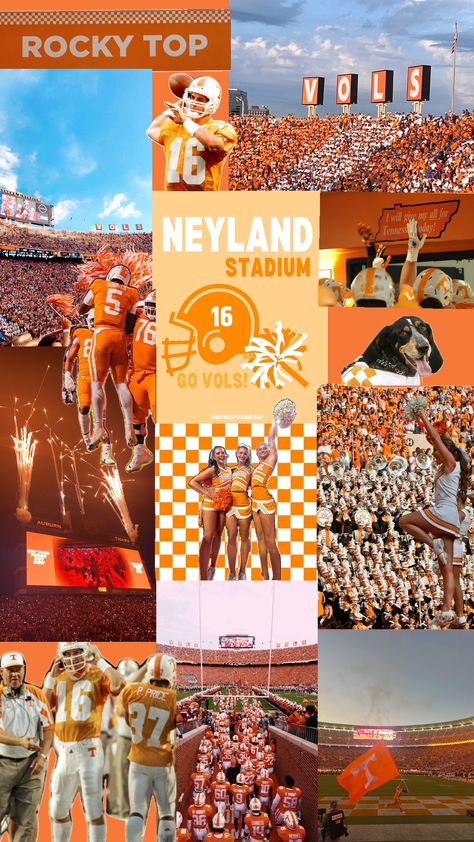 Rocky Top Tennessee, College Vision Board, Go Vols, Rocky Top, Tennessee Vols, Dream College, Auburn Tigers, University Of Tennessee, Tennessee Volunteers