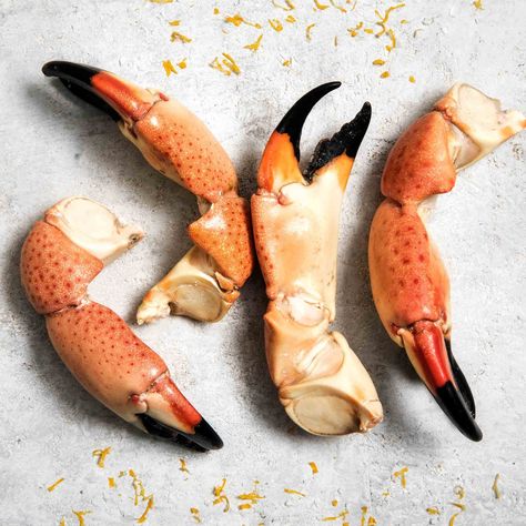 Crab Claw Tattoo, Oddities Cabinet, Crab Pincers, Stone Crab Claws, Claw Tattoo, Crab Illustration, Stone Crab, Crab Art, Crab Claw