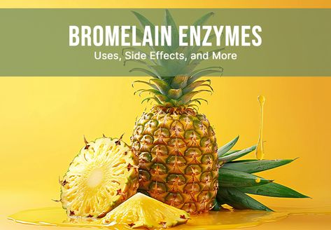 Bromelain Enzymes Benefits Of Bromelain, Bromelain Benefits, Pineapple Plant, Pineapple Enzyme, Better Digestion, Human Nutrition, Best Probiotic, Sinus Congestion, Anti Inflammation