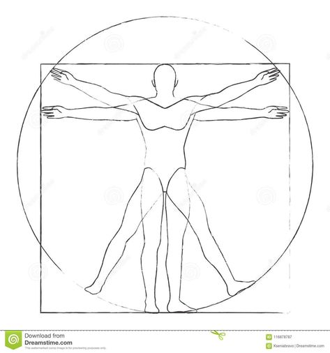 Muscular System Drawing, Man Pose, Man Drawing, Vitruvian Man, Muscular System, Blur Photo Background, Drawing Vector, Photography Illustration, Male Poses