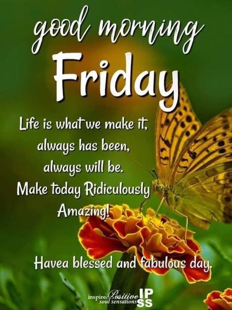 10 Friday Quotes And Sayings For A Beautiful Day Quotes For Friday, Good Morning Prayer Messages, Friday Motivational Quotes, Friday Greetings, Good Morning Friday Images, Good Friday Images, Friday Inspirational Quotes, Wednesday Greetings, Fantastic Friday