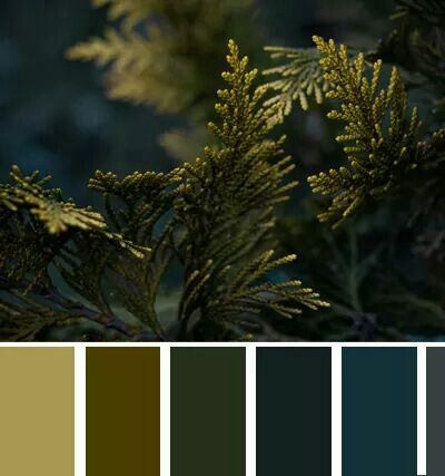 Goth Green Color Palette, Spring Forest Color Palette, Rich Green Color Palette, Moody Winter Color Palette, Dark Green And Brown Aesthetic, Forest Color Scheme, Woodland Color Palette, Bedroom Palette, Complementing Colors