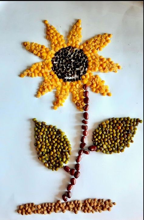 Used pulses Pulses Craft For Kids, Pulses Art, Seed Art For Kids, Seed Mosaic, Seed Crafts For Kids, Easy Summer Crafts, Art Club Projects, Seed Craft, Spring Flower Crafts