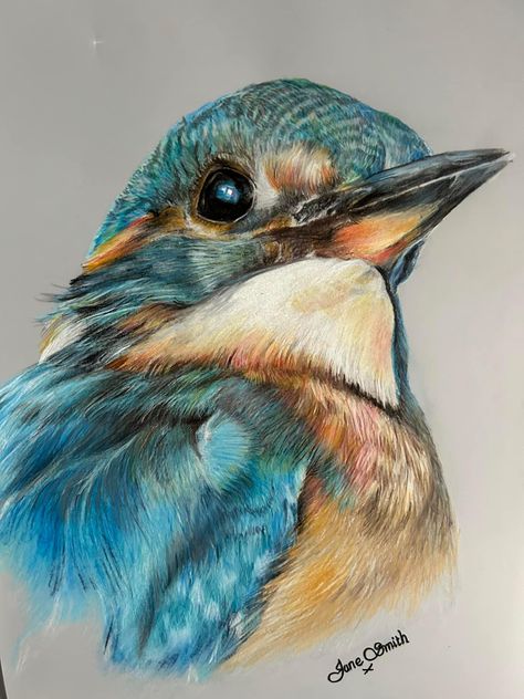 Australian Birds Art, Animal Paintings Acrylic Wildlife Art, Kingfisher Drawing, Wildlife Drawings, Arte Hippy, Kingfisher Painting, Kingfisher Art, King Fisher, Watercolor Pencil Art