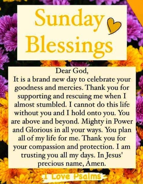 Thankful Sunday, Sunday Prayers, Blessed Sunday Morning, Afternoon Greetings, Weekly Blessings, Good Morning Prayer Quotes, Good Morning Sunday Images, Sunday Prayer, Sunday Blessings