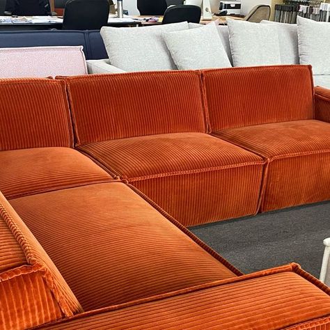 Harbro on Instagram: "Corduroy game = strong.   Rufus modular sofa,  Size 3050mm x 2350mm fabric: Maharam wide cord https://www.maharam.com/products/wide-corduroy/colors/001-sanguine" Cord Sofa, Corduroy Sofa, Sofa Size, Modular Sofa, Sofa, Fabric, On Instagram, Quick Saves, Color