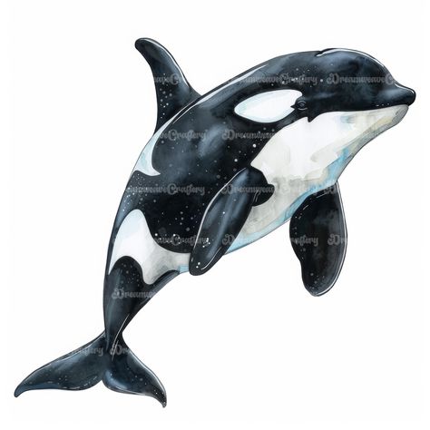 Majestic Cartoon Orca Marine Animal Watercolor Art Printable High Quality JPG Papercraft Junk Journal Scrapbooking Digital Download On Etsy: dreamweavecraftery.etsy.com #cute #cartoon #watercolor #clipart #art #papercraft #designing #craft #junkjournal #printable #download #scrapbooking #collage #orca #ocean #sea #marine #animal #wildlife Cartoon Orca, Orca Illustration, Art Papercraft, Monogram Wallpaper, Scrapbooking Collage, Animal Watercolor, Orca Whale, Whale Art, Summer Painting