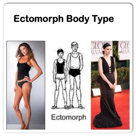 ectomorph body type Ectomorph Women, Slender Body Type, Mesomorph Diet, Female Body Types, Ectomorph Body, Raw Food Diet Plan, Fat Burner Smoothie, Body Types Women, Mommy Workout