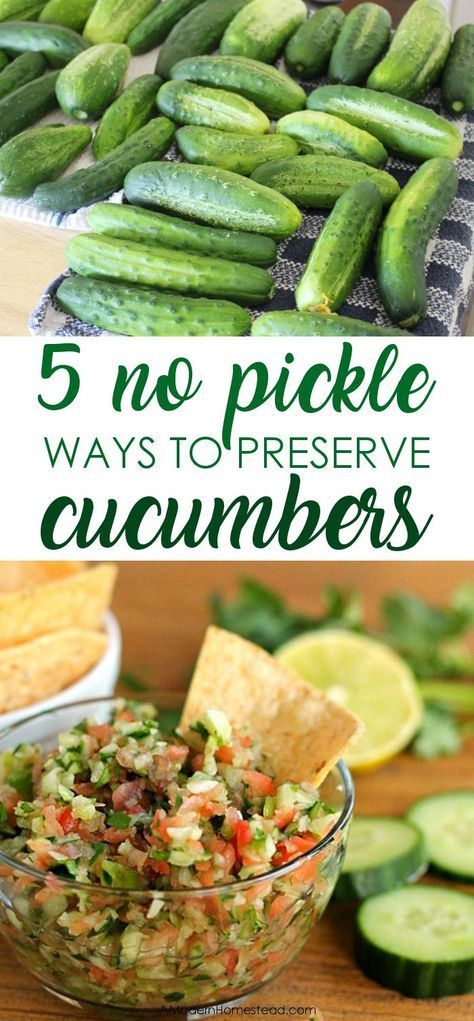 Cucumber Baked Recipes, Cucumber Mint Jam, Too Many Cucumbers, Cucumber Salsa Canning Recipe, Sauteed Cucumber Recipes, Preserve Cucumbers, Preserving Cucumbers, Store Cucumbers, How To Store Cucumbers