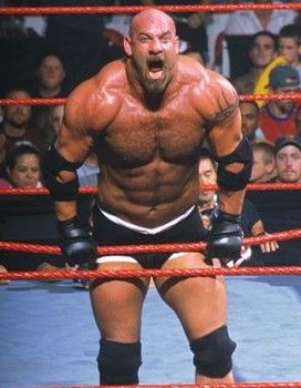 Goldberg Wwe, Bill Goldberg, Wwe Tna, Wrestling Stars, Wwe Legends, Wwe Wallpapers, Wwe World, Shawn Michaels, Pro Wrestler