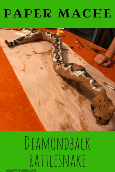 How to Make a Paper Mache Diamondback Rattlesnake - Mom Wife Wine Jumanji Theme, Reptile Crafts, 3d Snake, Reading Fair, Paper Mache Paste, Diamondback Rattlesnake, Snake Crafts, Snake Facts, Craft Ideas Paper