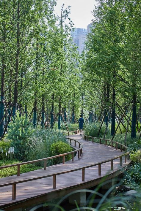 Wetland Landscape Design, Steep Hillside Landscaping, Garden Bridge Design, Bridge Ideas, Landscape Bridge, Bridge Engineering, Forest Resort, Park Forest, River Bridge