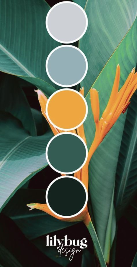 Birds Of Paradise Color Palette, Bird Colour Palette, Bird Of Paradise Color Palette, Jungle Color Palette Tropical, 3 Color Color Palette, Adventurous Color Palette, Nature Palette Color, Jungle Colour Palette, Nature Inspired Color Palette