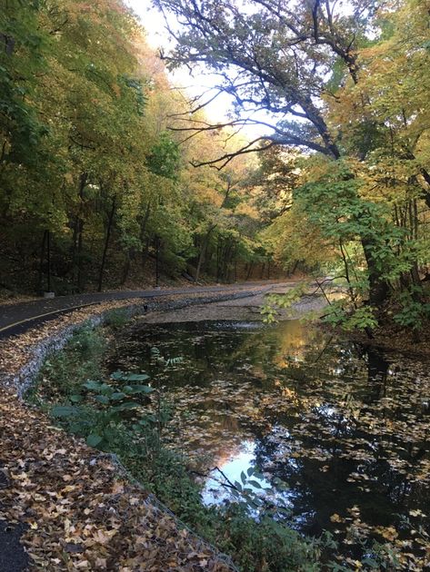 pathway and river covered in leaves on college campus Campus Pictures, Augustana College, Autumn Fall Aesthetic, Pretty Scenery, Fall Inspo, The Raven, Fall Aesthetic, Autumn Fall, Mother Nature