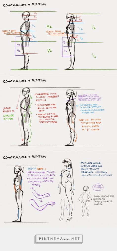 Anatomy Perspective, Mingjue Helen Chen, Ako Kresliť, Drawing Body Proportions, Male Figure Drawing, Anatomy Tutorial, Human Anatomy Drawing, Human Figure Drawing, Human Drawing