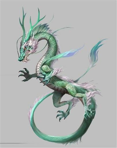 Chinese Dragon Concept Art, Dragon Concept Art, Dragon Concept, Chinese Dragons, Chinese Dragon Tattoos, Shadow Dragon, Dragon Blood, Eldritch Horror, Dragon Tattoo Designs