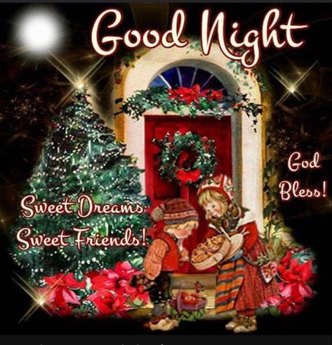 Christmas Good Night Quotes, Christmas Good Night, Good Night Christmas, December Night, Goodnight Sleep, Good Night Cat, Lovely Good Night, Christmas Card Messages, Night Pics