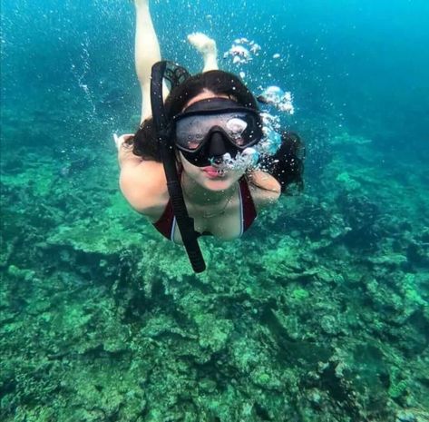 1 new message Cancun Snorkeling, Snorkeling Pictures, Girl Underwater, Swimming Pictures, Insta Poses, Ocean Girl, Ocean Day, Scuba Girl, Underwater Photos