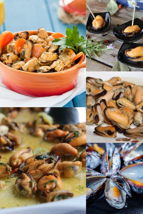 How to Cook Frozen Mussels Without Shells How To Make Mussels Recipes, Recipes Using Frozen Mussels, What To Eat With Mussels, Healthy Mussels Recipe, Recipes With Mussel Meat, Frozen Clam Recipes, Frozen Mussels Recipe Easy, Mussel Meat Recipe Frozen, Recipes With Mussels