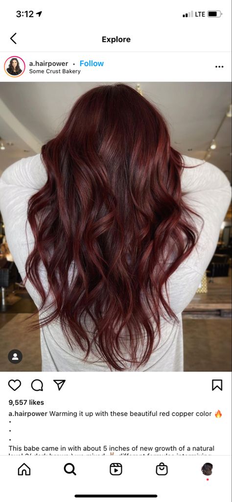 Deep Wine Red Hair Color, Red Tint In Brown Hair, Red Tones Hair Color Dark Brown, Red Tint Hair Dark, Dark Red Mahogany Hair Color, Dark Wine Hair Color Burgundy, Balayage Hair Dark Red, Brunette With Dark Red Highlights, Dark Brown Hair With Red Tint Burgundy