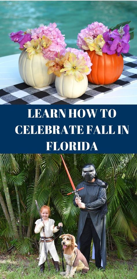 How to celebrate fall in Florida   #ad #onehourpartner Florida Fall Decor, Fall In Florida, Outside Fall Decorations, Florida Decorating, Florida Fall, Fall Parties, Florida Decor, Florida Holiday, Pumpkin Patches