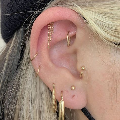 Cassi Lopez-March on Instagram: “*beautiful cascading waterfalls*✨#sogoldbk #allgoldeverything #piercer #piercings” Brain Surgery Survivor, Triple Lobe, Minimalist Ear Piercings, Ear Curation, Pretty Ear Piercings, Cool Ear Piercings, Cool Piercings, Cute Ear Piercings, Brain Surgery