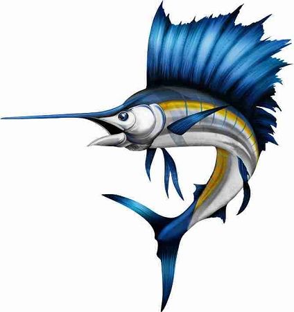 Board Game Decal, Blue Marlin Fish, Marlin Fish, Monster Clipart, Easy Drawing Steps, Blue Marlin, Cornhole Board, Fish Wall Art, Pencil Drawings Easy