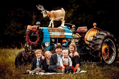 Tractor Family Photo Shoot, Family Pictures With Tractor, Goat Christmas Pictures, Tractor Christmas Picture, Tractor Christmas Mini Session, Tractor Family Pictures, Christmas On The Farm Pictures, Farm Christmas Photoshoot, Christmas Tractor Photo Shoot