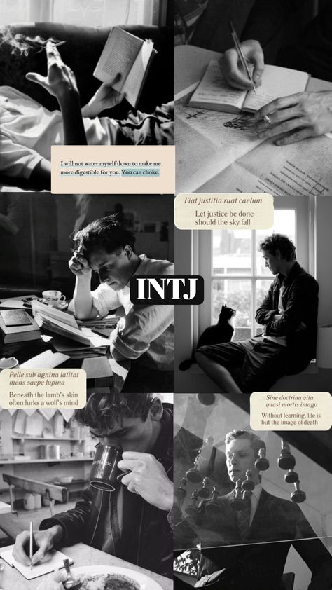 Intj Core Aesthetic, Intj Boy, Intj Moodboard, Intj Man, Intj Core, Intj Aesthetic, Intj 5w6, Intj Humor, Enfj T