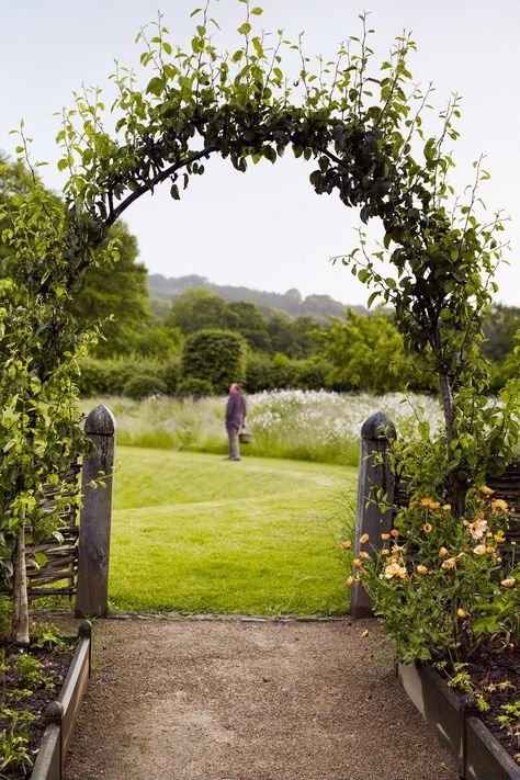 Potager Garden, Garden Arches, Garden Shrubs, Romantic Garden, Fruit Garden, Garden Structures, Veggie Garden, Garden Cottage, Farm Gardens