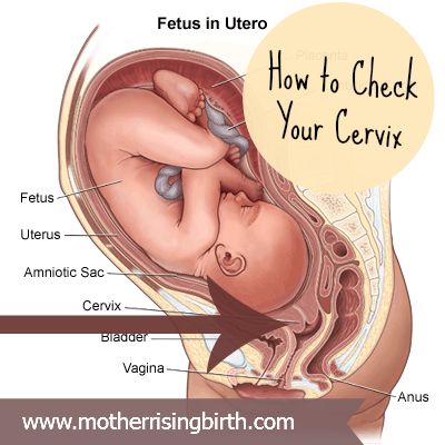 WHAT THE WHAT?!?! NO!! (Original caption: How to check your cervix yourself (and why!) in the third trimester. #pregnancy #cervix #dilation) Women Breast, Womens Health Magazine, Health Class, Natural Beauty Care, Health Guru, Breast Workout, Vanessa Montoro, Fitness Trends, Breast Health