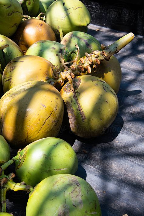 Soul Goals, Nandi Hills, Coconut Drink, Bob Marley Art, Coconut Drinks, Bride Photography Poses, Coconut Trees, Fruit Photography, Bride Photography