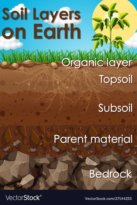 Soil Classification, Earth Vector, Ag Education, Earth Science Lessons, Earth Layers, Nature Education, Earth Illustration, Earth And Space Science, Interesting English Words