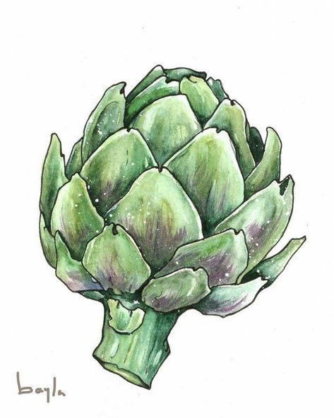 Succulent Drawing, Succulents Drawing, Watercolor Fruits, Veggie Art, Vegetable Painting, Adorable Illustration, Flower Drawing Tutorials, Watercolor Food, Watercolor Fruit