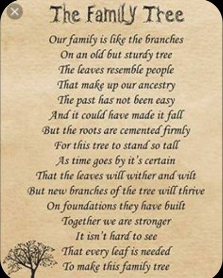 Poems About Family Love, Quotes For Your Son, Family Tree Quotes, Genealogy Quotes, Life Quotes Relationships, In Loving Memory Quotes, Prayers Of Encouragement, Easy Love Spells, Family Poems