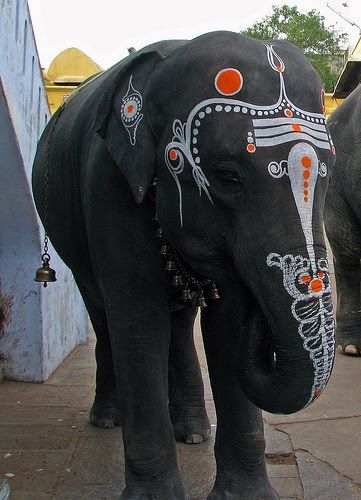 elephant by mckay savage Painted Elephants, Elephant India, Elephants Never Forget, Asian Elephant, Elephant Tattoo, Indian Elephant, Elephant Painting, Have Inspiration, Elephant Lover