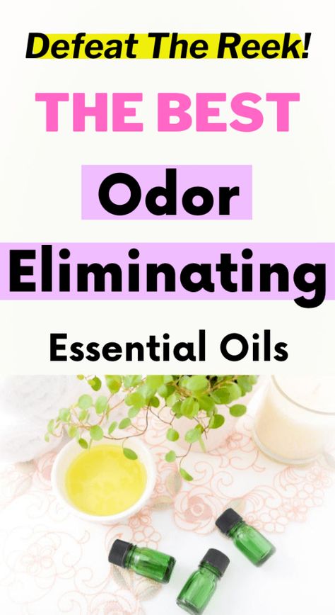 Essential oils for odor elimination in your house! Odor eliminator essential oils. Essential oils recipes and essential oils recipes for a healthy home. Essential oils for odor removal. Cleaning tips and cleaning hacks tips and tricks! Natural cleaning products. Essential oils blends for diffuser! Clean House Smell, Make Your House Smell Good, Essential Oils Blends, Oils Essential, Candles Fragrance, House Smell Good, Essential Oils Cleaning, Essential Oil Diffuser Recipes, Oil Diffuser Recipes