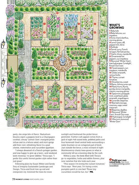 Horticulture Landscape Design, French Garden Layout Plan, Kitchen Garden Plans Layout, Food Garden Layout Backyards, Edible Garden Plan, French Potager Garden Design, Small Farm Layout Ideas, Botanical Garden Layout, Geometric Garden Design