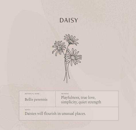 Daisy Symbolism Meaning, Flower Tattoo And Their Meaning, Tattoo Flowers Meaning, Meaning Of Daisy Flowers, Daisy Tattoo Aesthetic, Daisy Meaning Flowers, Daisy Stamp Tattoo, Wildflower Symbolism, Wildflower Tattoo Meaning