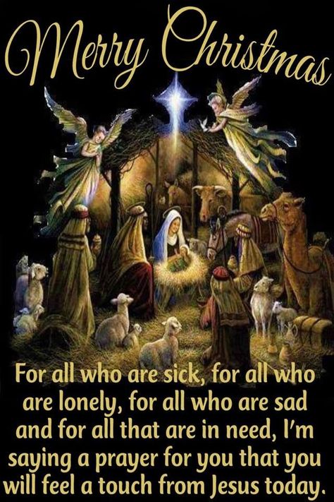 A Touch Of Jesus jesus angels inspiration christmas quotes religious christmas quotes merry christmas quotes Christmas Quotes Jesus, Christmas Nativity Images, Merry Christmas Jesus, Christmas Card Verses, Christmas Greetings Quotes, Christmas Greetings Messages, Christmas Wishes Quotes, Christmas Quotes Inspirational, Christmas Thoughts