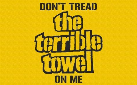 Terrible Towel, Steelers Country, Steelers Baby, Troy Polamalu, Go Steelers, Pittsburgh Sports, Steeler Nation, Steelers Fan, Steelers Football