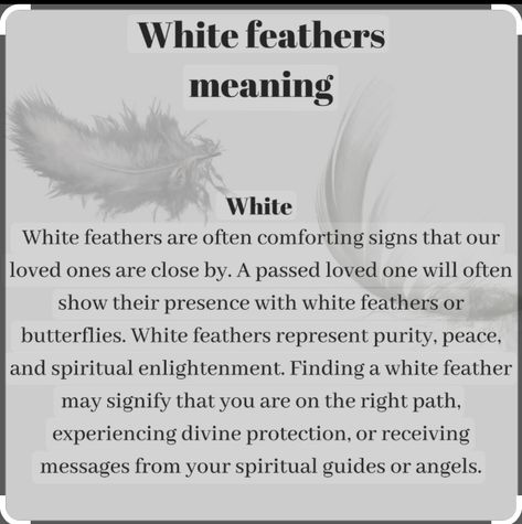 White Feather Meaning, Finding Feathers, Feather Meaning, Showing Compassion, Angel Blessings, Seek Peace, Coloured Feathers, Color Meanings, White Feather