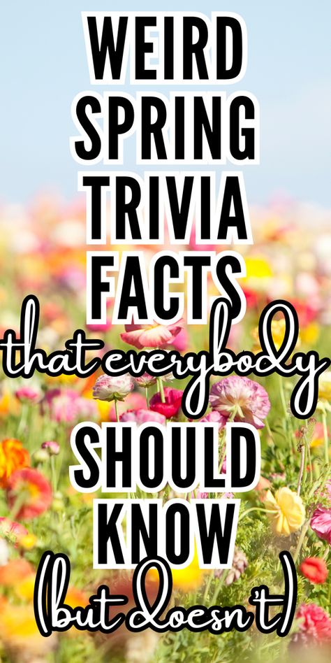 27+ Fun Spring Trivia Questions For All Ages To Enjoy – Manifest Like Whoa! Spring Trivia, Spring Party Games, International Workers Day, Workers Day, National Poetry Month, Spring Ideas, Meant To Be Together, Spring Party, Trivia Questions