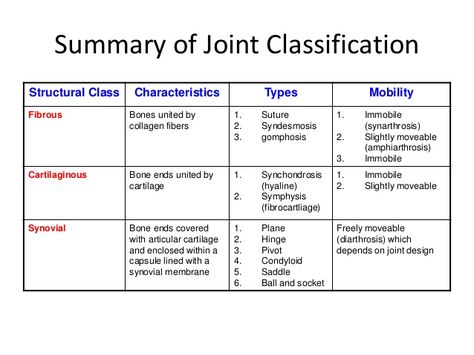 Joint classification table Classification Of Joints, Types Of Joints Anatomy, Joints Anatomy Notes, Radiology Anatomy, Radiography Student, Radiology Schools, Joints Anatomy, Medical Terminology Study, Anatomy Education