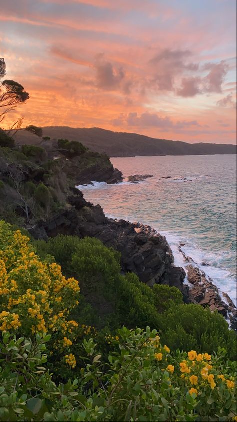 Cliff View, Ocean Cliff, Beneath The Sea, Ocean Spray, Ocean Rocks, Forest Theme, Ocean Scenes, Sunset Nature, Ocean Sunset