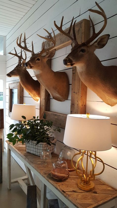 Interior Design With Deer Heads, Classy Deer Head Decor, Framed Deer Head, Gallery Wall With Deer Mount, Decorating With Deer Heads, Deer Mount Ideas Decor Living Rooms, How To Decorate With Deer Mounts, Deer Mount Decor Family Rooms, Shoulder Mount Deer