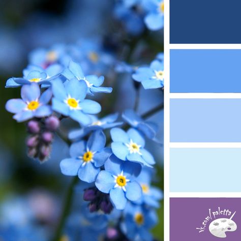 Color Schemes For The Home, Color Palette From Image, Colours That Go Together, Color Knowledge, Website Color Palette, Home Colour, Winter Color Palette, Spring Color Palette, Blue Palette