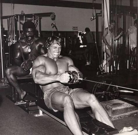 The Golden Age of Bodybuilding - 30 Photos of Bodybuilding Greats Bodybuilding Poster, Arnold Schwarzenegger Gym, Arnold Schwarzenegger Muscle, Arnold Bodybuilding, Arnold Schwarzenegger Bodybuilding, Schwarzenegger Bodybuilding, Full Body Training, Bodybuilding Pictures, Body Training